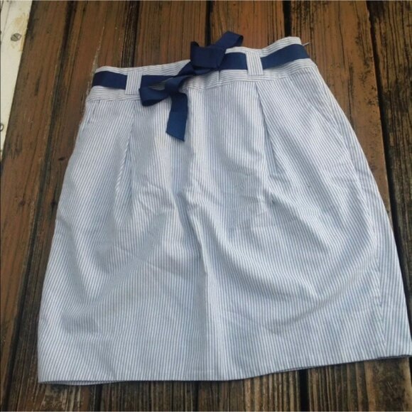 Anthropologie Edme & Esyllte Skirt 12 Navy Stripe - Picture 1 of 4